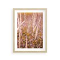 Plakat w ramie 30x40 - Sucha Trawa w Sierpniu - trawy, łąka - rama drewno