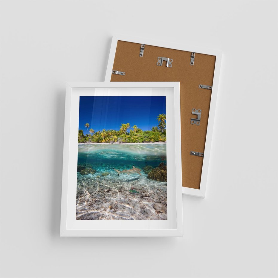 Plakat w ramie 30x40 - Tropikalne Morze i Kolorowa Rafa - tropikalne, morze - rama biała