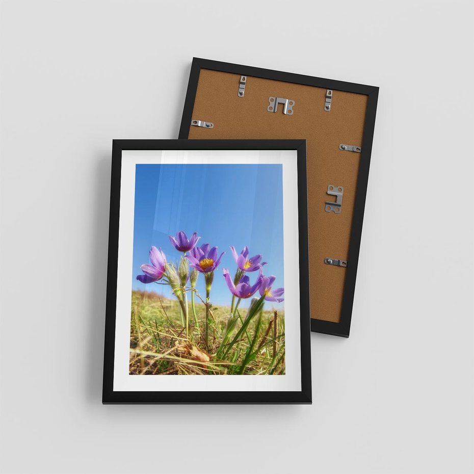 Plakat w ramie 30x40 - Kwiatowa siła łąki - kwiaty, łąka - rama czarna