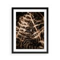 Plakat w ramie 40x50 - Liście i Paprocie - suche liście, paprocie - rama czarna