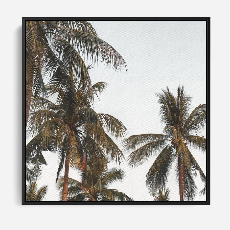 Obraz w ramie 50x50 - Palmy - tęsknota za Hawajami - palmy, Hawaje - rama czarna