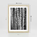Plakat w ramie 30x40 - Kontrast Monochromatyczny - brzozy, czarno - rama drewno