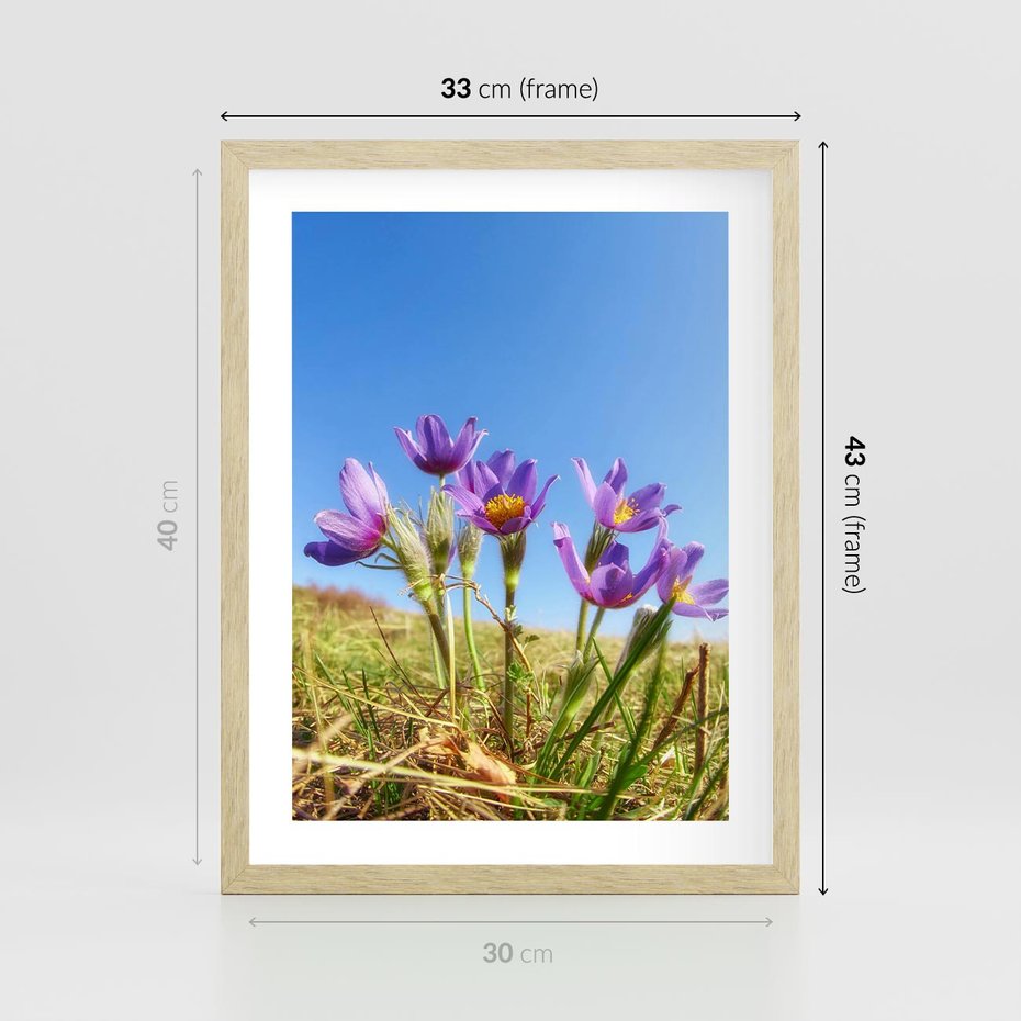 Plakat w ramie 30x40 - Kwiatowa siła łąki - kwiaty, łąka - rama drewno
