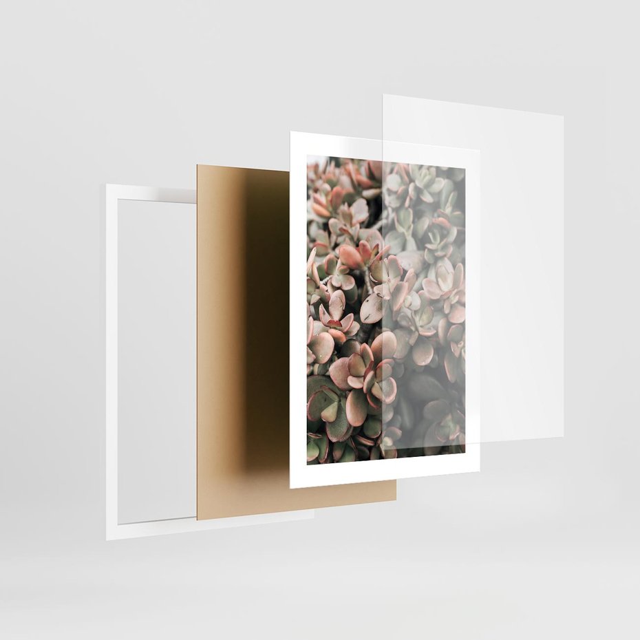Plakat w ramie 30x40 - Sukulentowa Prostota - sukulenty, zielone liście - rama biała