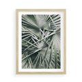 Plakat w ramie 50x70 - Palmy w Zgaszonej Zieleni - palmy, tropikalne liście - rama drewno