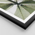 Plakat w ramie 50x70 - Jasna Zieleń w Makro - makro zdjęcie liści, jasna zieleń - rama czarna