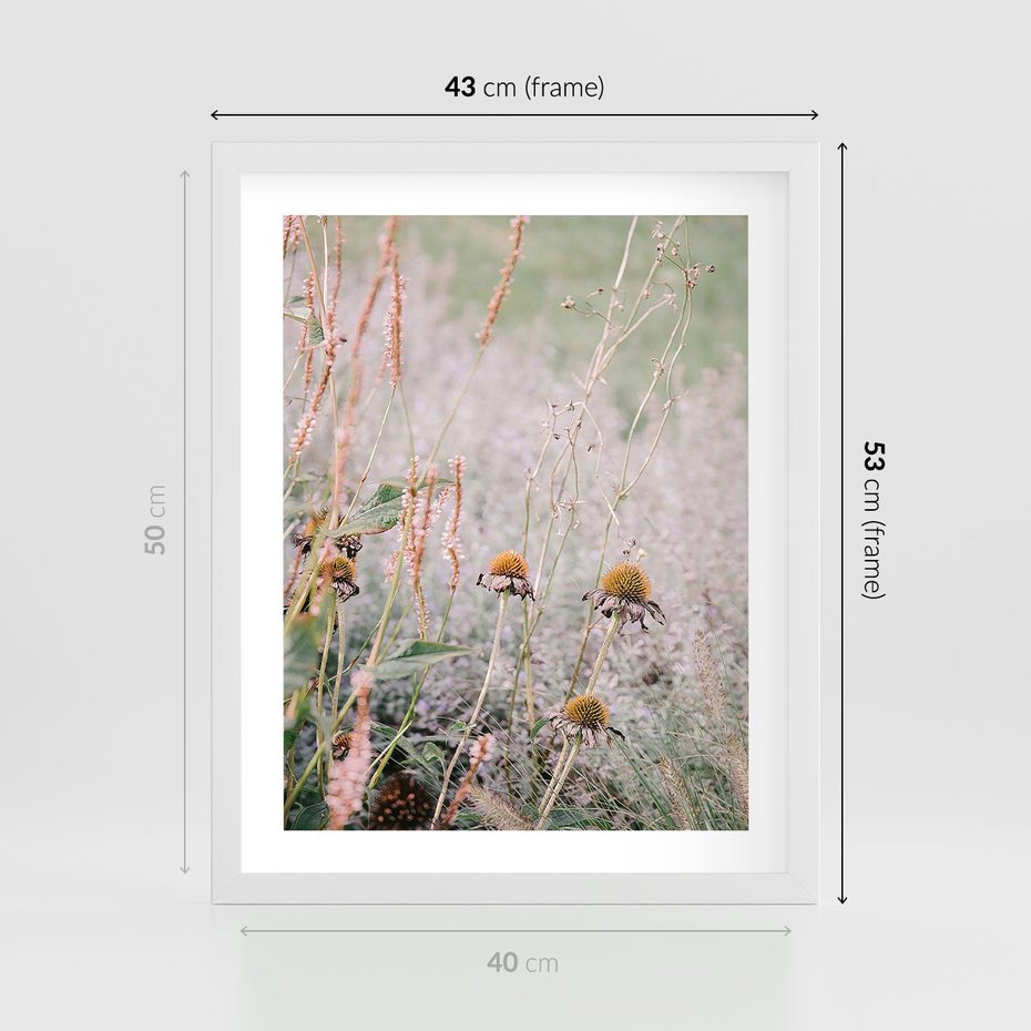 Plakat w ramie 40x50 - Przyroda w Pełnym Blasku: Kolorowa łąka z Kwiatami - łąka, kwiaty na łące - rama biała