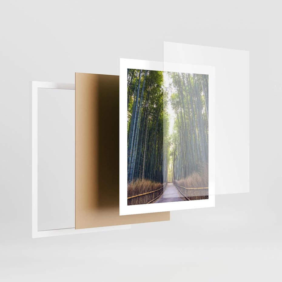 Plakat w ramie 40x50 - Urokliwa dróżka w lesie - las, dróżka - rama biała
