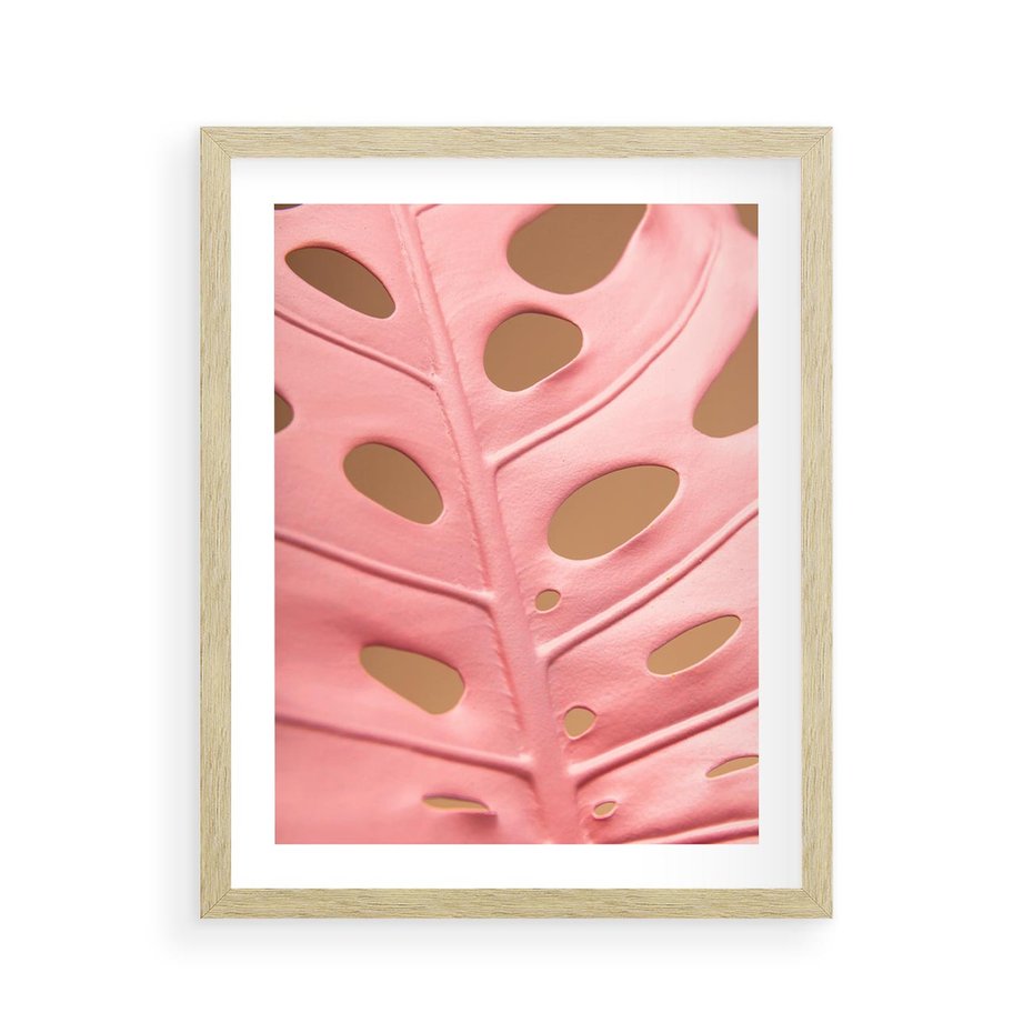 Plakat w ramie 40x50 - Różowy Liść Monstery - różowy liść monstery, nowoczesna fotografia - rama drewno