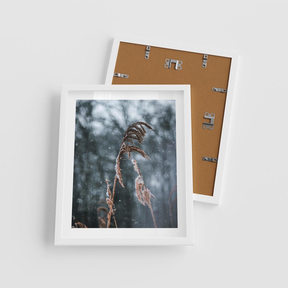 Plakat w ramie 40x50 - Zima na Łonie Natury - sucha wysoka trawa, w zimie - rama biała