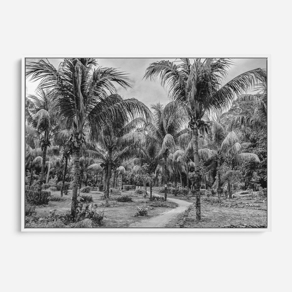 Obraz w ramie 120x80 - Mroczna Ścieżka Tropików - czarno biała fotografia, ścieżka pośród palm - rama biała