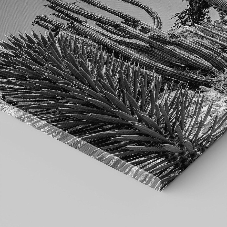 Obraz na płótnie 50x50 - Pustynny Klimat - czarno białe zdjecie, pustynia