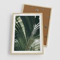 Plakat w ramie 50x70 - Tropikalne Uroki: Palmy i Zielone Liście - palmy, zielone liście - rama drewno