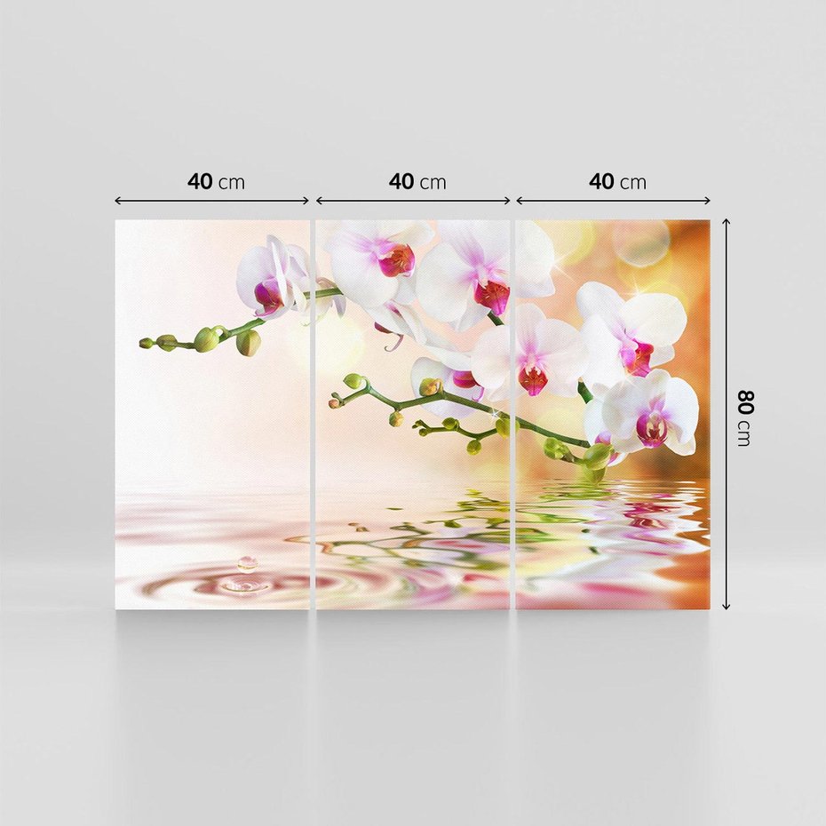 Obraz na płótnie 120x80 - Elegancja orchidei - orchidea, kwiaty