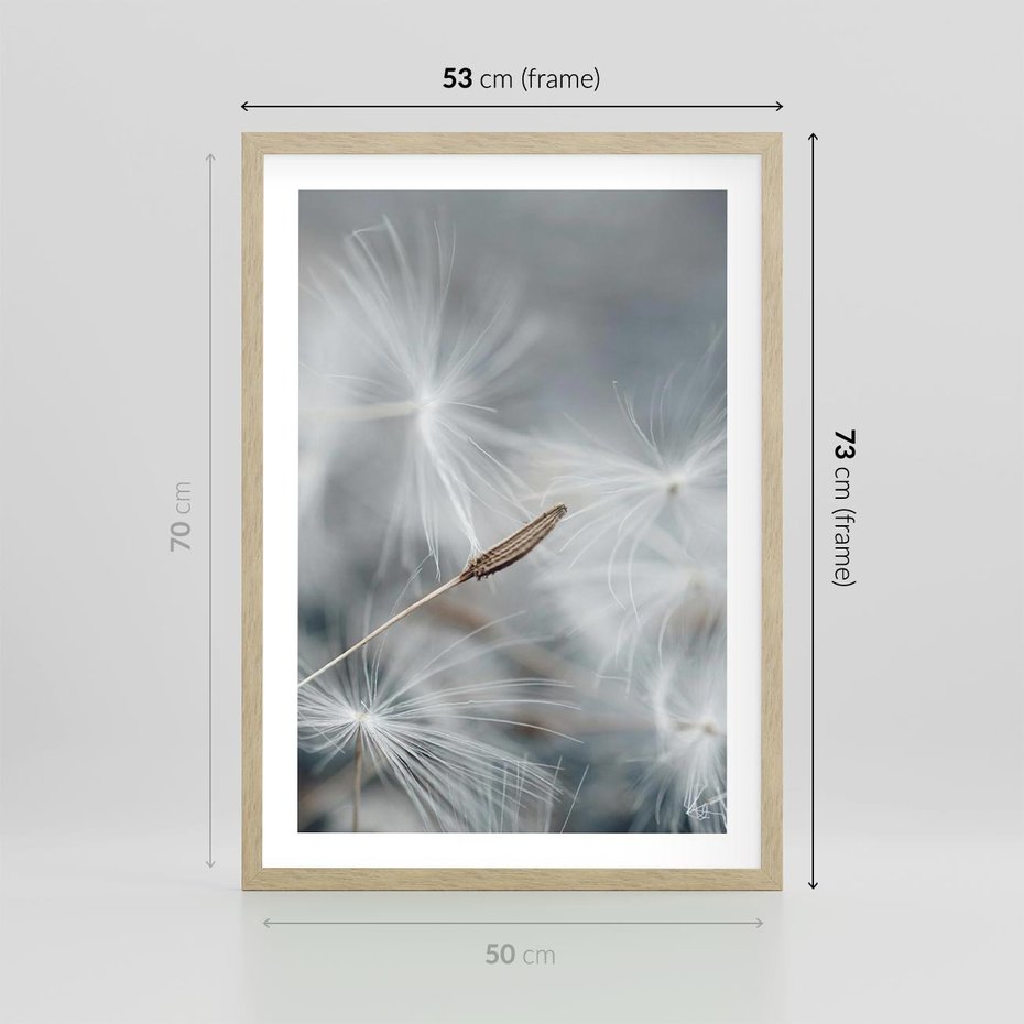 Plakat w ramie 50x70 - Piękno w Delikatności - dmuchawiec, makro zdjęcie - rama drewno