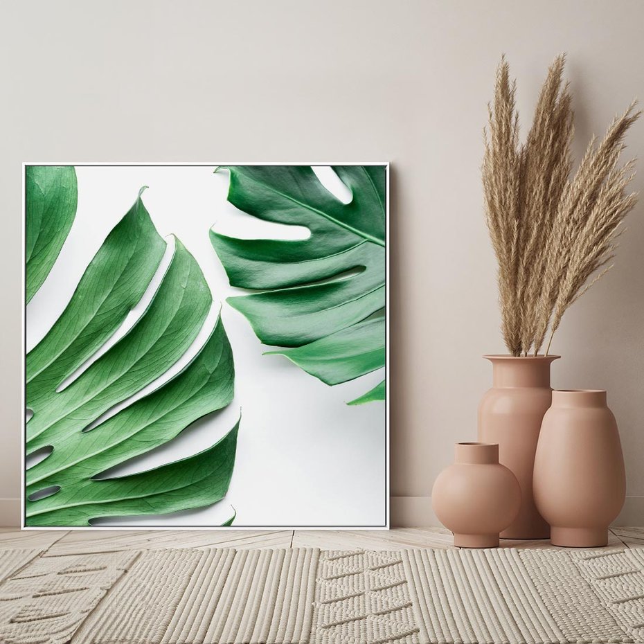 Obraz w ramie 50x50 - Monstera - Liście Kwiaty - monstera, liście - rama biała