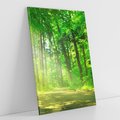 Obraz na płótnie 80x120 - Urok lasu na drodze - las, drzewa