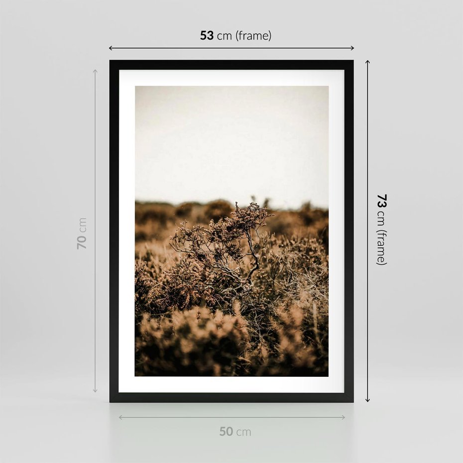 Plakat w ramie 50x70 - Krajobraz W Naturze: Beże i Brązy - suche krzewy, natura - rama czarna