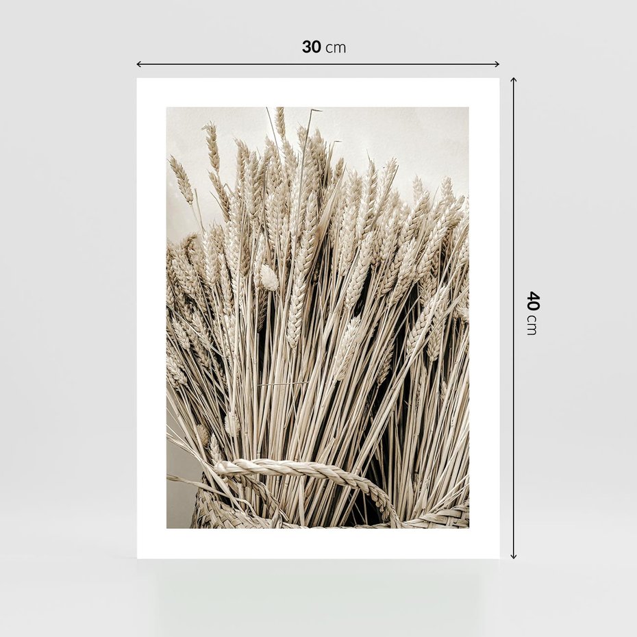 Plakat bez ramy 30x40 - Letni Plon - zboże, kłosy zboża