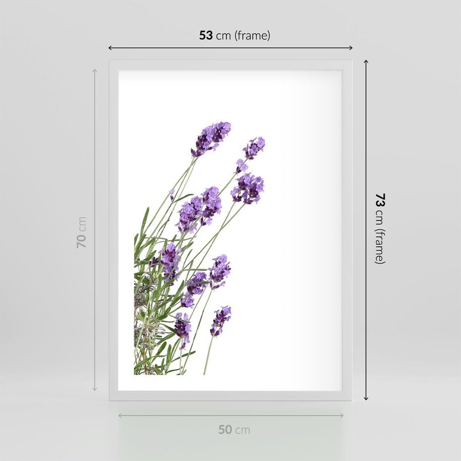 Plakat w ramie 50x70 - Delikatny Urok - lawenda, kwiaty - rama biała