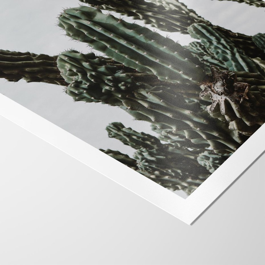 Plakat bez ramy 21x30 - Boho oaza wśród kaktusów - kaktusy, pustynia