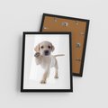 Plakat w ramie 40x50 - Szczeniak pełen radości - piesek, szczeniak - rama czarna