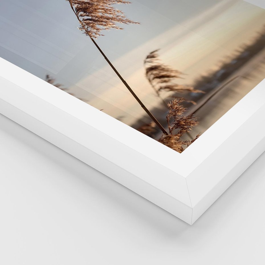Plakat w ramie 40x50 - Naturalna Delikatność - trawy, boho - rama biała