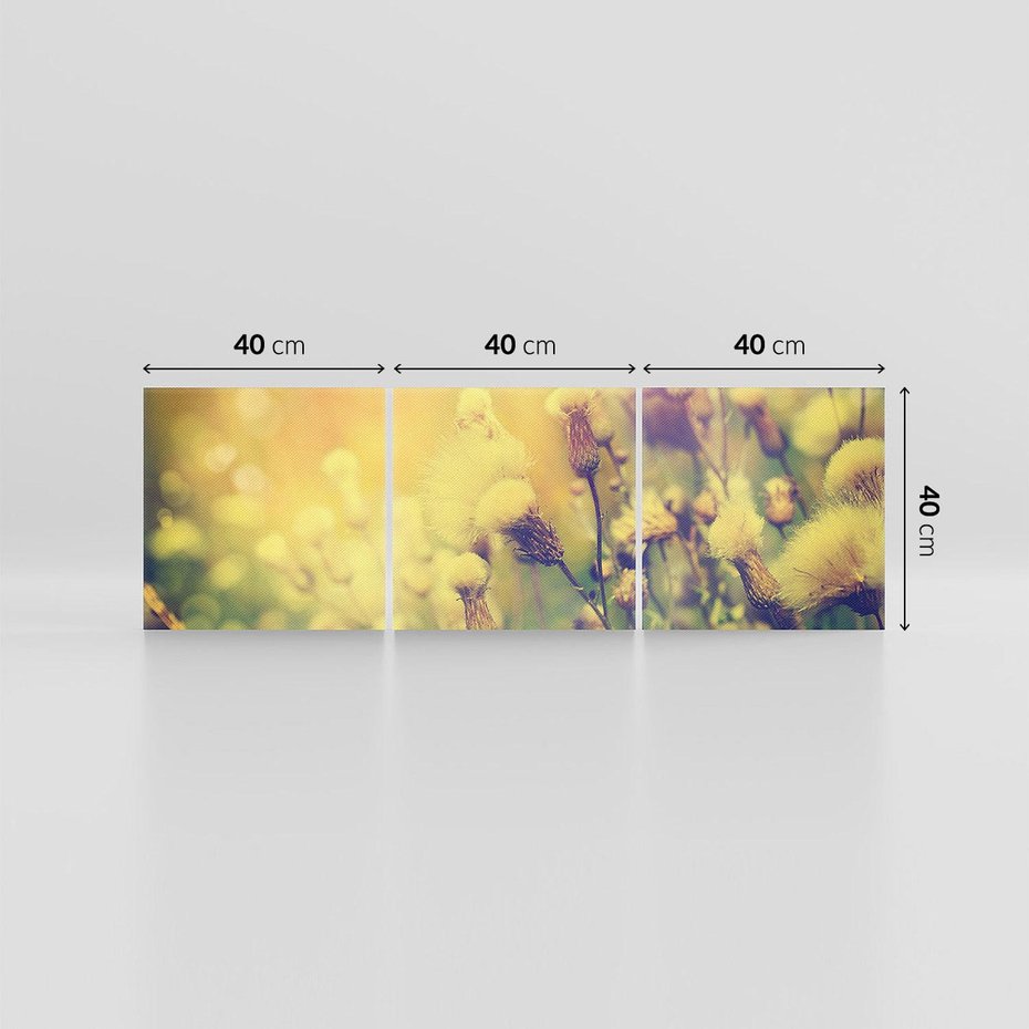 Obraz na płótnie 120x40 - Natura w pełnym rozkwicie - łąka, natura