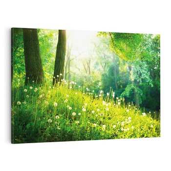 Obraz na płótnie 100x70 - Urok natury - magiczny las na płótnie - las, trawa
