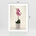 Plakat bez ramy 50x70 - Delikatność storczyka orchidei - storczyk, orchidea