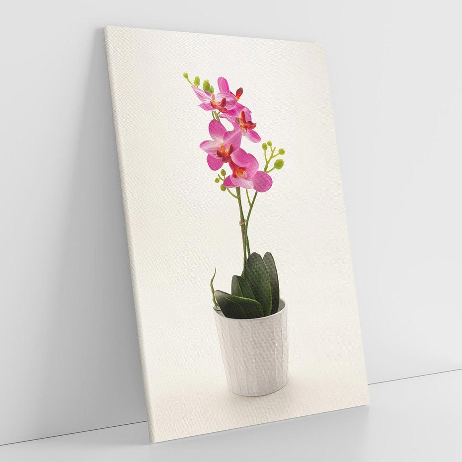 Obraz na płótnie 70x100 - Delikatność storczyka orchidei - storczyk, orchidea