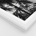 Plakat w ramie 30x40 - Mono Tropiki - palmy, drzewa palmowe - rama biała