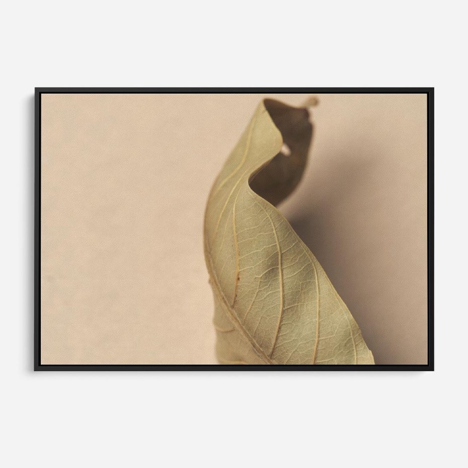 Obraz w ramie 100x70 - Boho suszone liście - suszony, liść - rama czarna