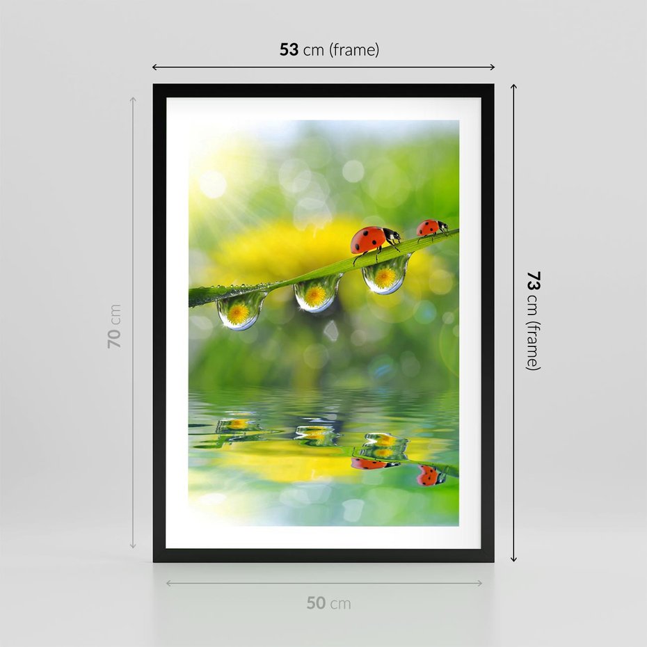 Plakat w ramie 50x70 - Deszczowa Biedronka - biedronka, deszcz - rama czarna