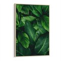 Obraz w ramie 50x70 - Palma Liście Kwiat - palma, liście - rama drewno