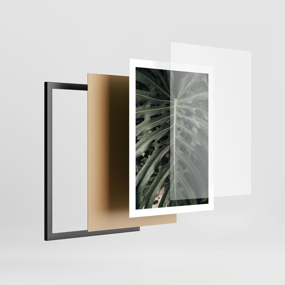 Plakat w ramie 50x70 - Majestatyczny Liść Monstery - liść monstery, majestatyczny liść - rama czarna