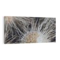 Obraz na płótnie 140x70 - Ulotna Piękność Natury - makro, dmuchawce