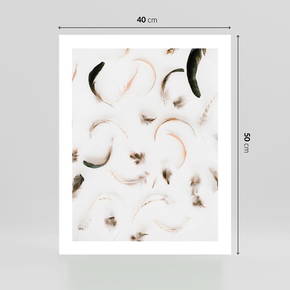 Plakat bez ramy 40x50 - Kompozycja z Piór - pióra, kompozycja