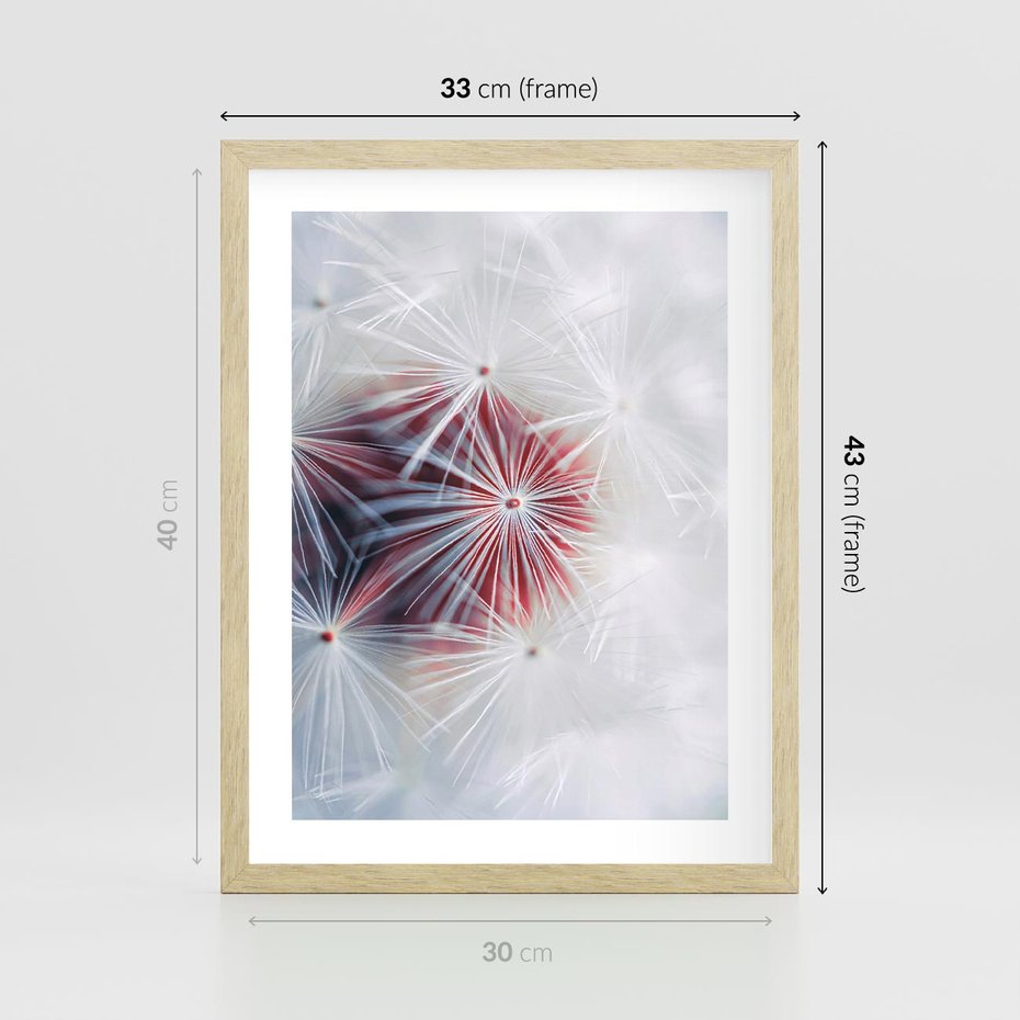 Plakat w ramie 30x40 - Minimalistyczna Delikatność - zbliżenie, dmuchawce - rama drewno