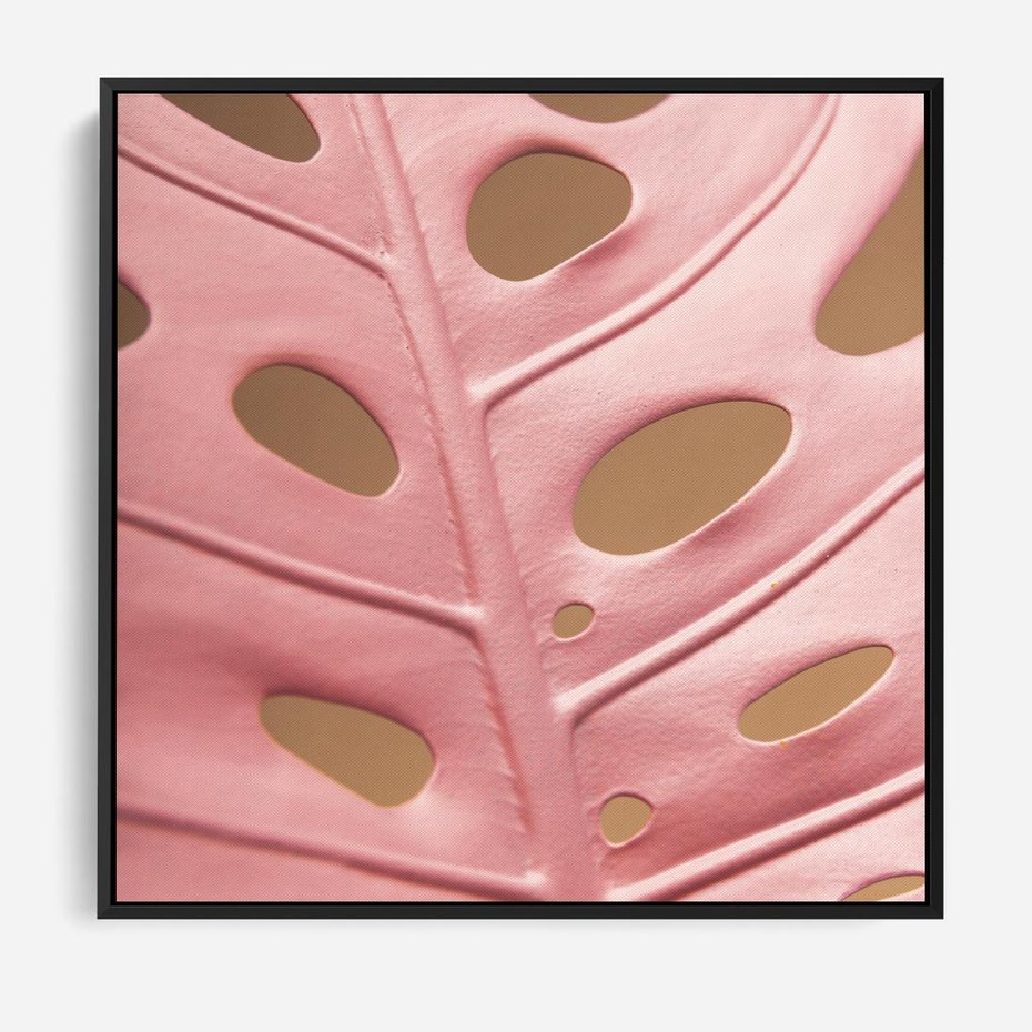 Obraz w ramie 50x50 - Różowa monstera w pełnym rozkwicie - różowa, monstera - rama czarna