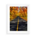 Plakat w ramie 50x70 - Droga przez jesienny las - droga, las - rama biała