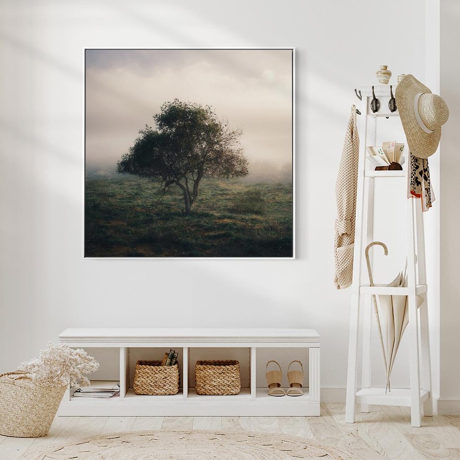 Obraz w ramie 50x50 - Zamglona Prostota - artystyczna fotografia, samotne drzewo na zamglonej łące - rama biała