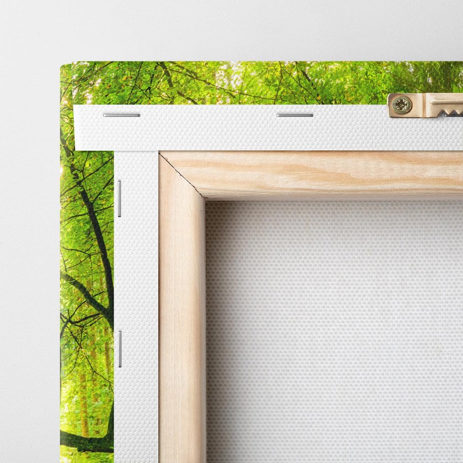 Obraz na płótnie 120x40 - Las w pełnym rozkwicie - las, drzewa