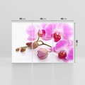 Obraz na płótnie 120x80 - Elegancka orchidea w pełnym rozkwicie - orchidea, kwiat