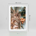 Plakat w ramie 50x70 - Tropikalna Palma: Fotografia z Kokosami - palma kokosowa, kokosy - rama biała