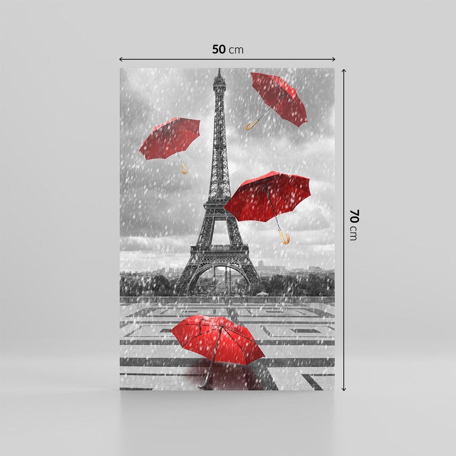 Obraz na płótnie 50x70 - Czarno-biała magia Eiffla - Eiffla, Paryż