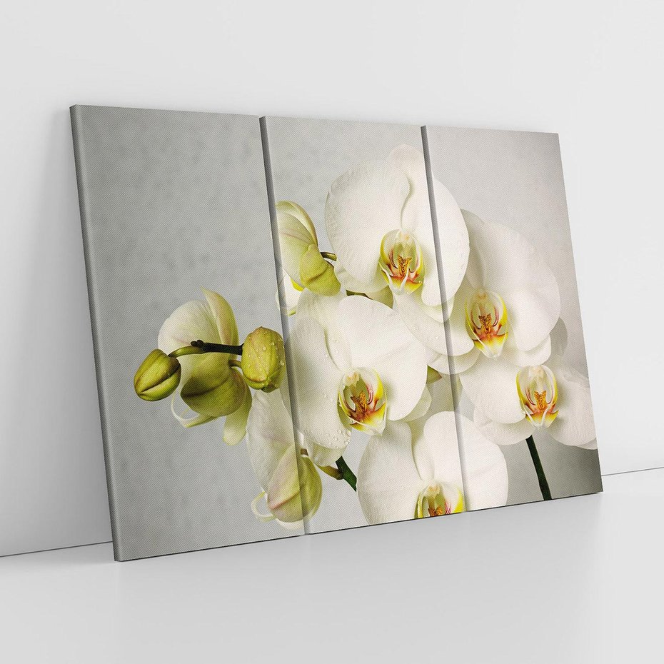 Obraz na płótnie 120x80 - Elegancka uroda orchidei - orchidea, kwiaty