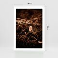 Plakat bez ramy 50x70 - Gałęzie i Liść w Brązowej Tonacji - suche gałęzie, liść
