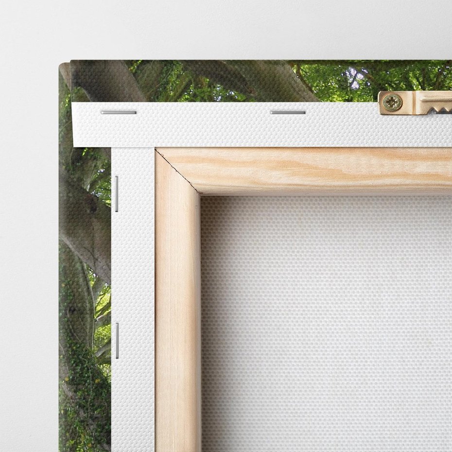 Obraz na płótnie 140x70 - Magiczny Las - drzewa, las