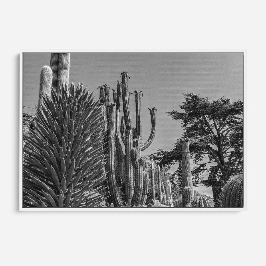 Obraz w ramie 100x70 - Pustynny Klimat - czarno białe zdjecie, pustynia - rama biała